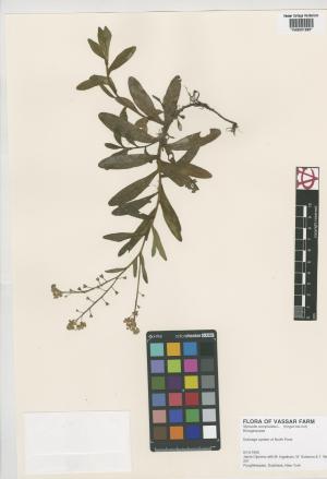 85027-Service File.jpg