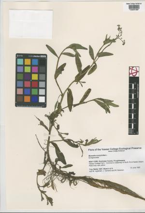 85028-Service File.jpg