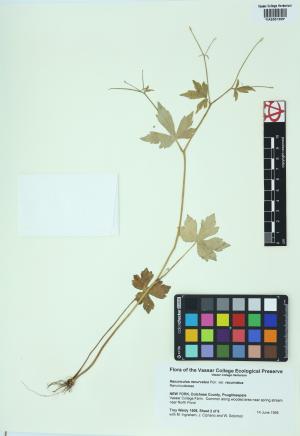 85045-Service File.jpg
