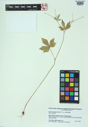 85046-Service File.jpg
