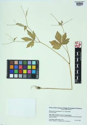 85047-Service File.jpg