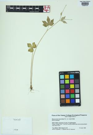 85048-Service File.jpg