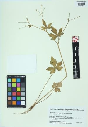 85049-Service File.jpg