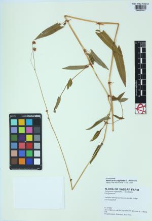 85058-Service File.jpg