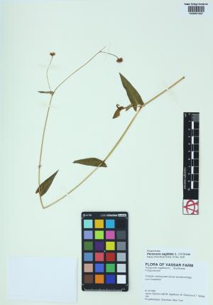 85059-Service File.jpg