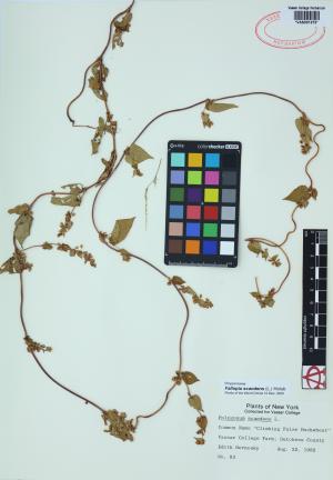 85080-Service File.jpg