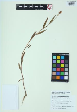 85083-Service File.jpg