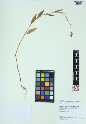 85085-Service File.jpg