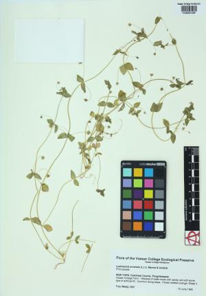 85108-Service File.jpg