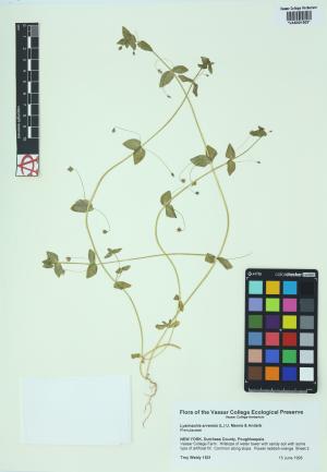 85110-Service File.jpg