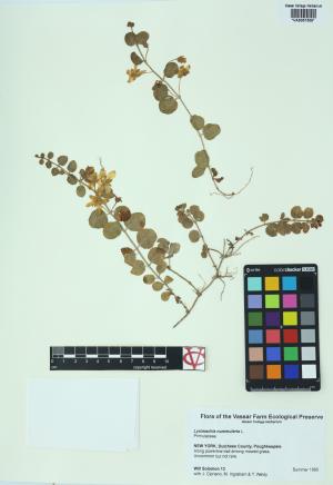 85113-Service File.jpg