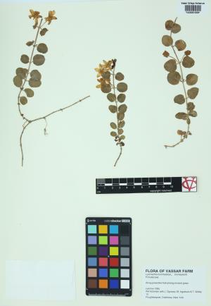 85114-Service File.jpg