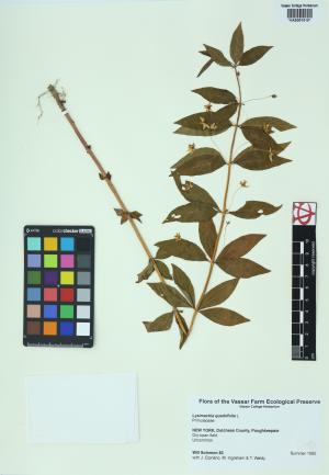 85115-Service File.jpg