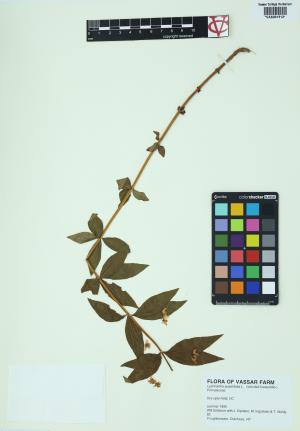 85117-Service File.jpg