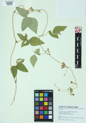 85140-Service File.jpg