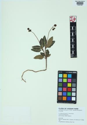 85143-Service File.jpg