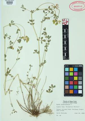 85157-Service File.jpg
