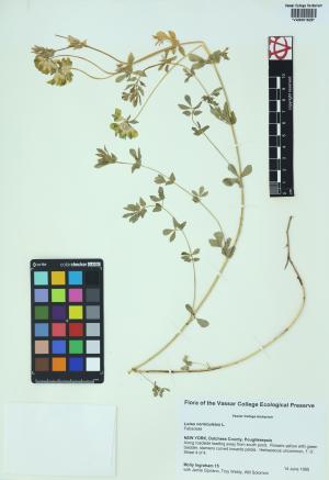 85162-Service File.jpg