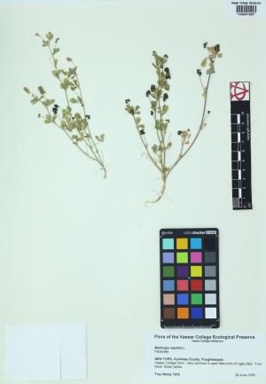 85166-Service File.jpg