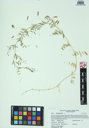 85169-Service File.jpg