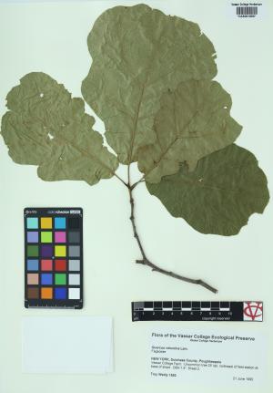 85193-Service File.jpg