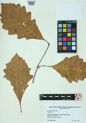 85214-Service File.jpg
