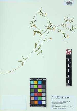85222-Service File.jpg