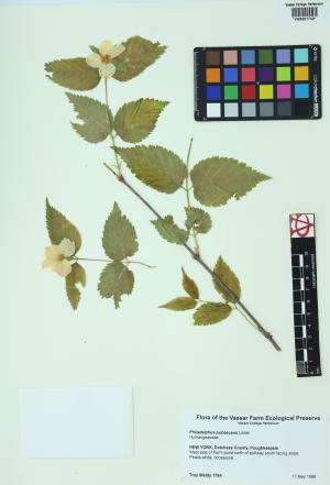 85249-Service File.jpg
