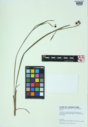 85259-Service File.jpg