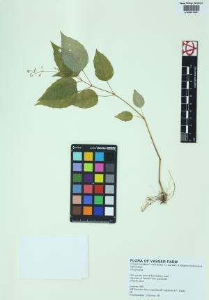 85279-Service File.jpg