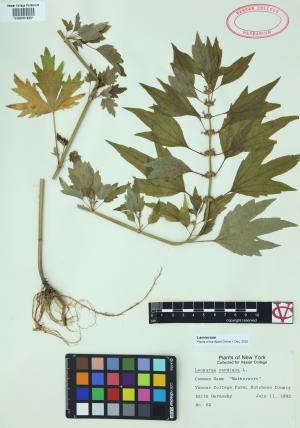 85284-Service File.jpg