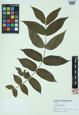 85285-Service File.jpg