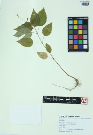 85298-Service File.jpg