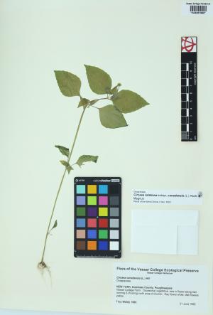 85302-Service File.jpg