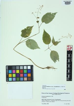 85305-Service File.jpg