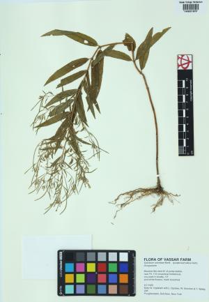 85313-Service File.jpg