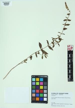 85321-Service File.jpg