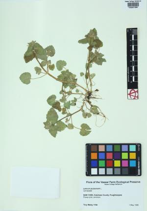 85330-Service File.jpg