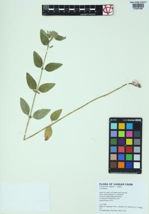 85332-Service File.jpg