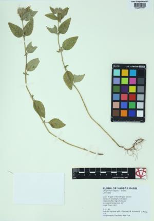 85334-Service File.jpg