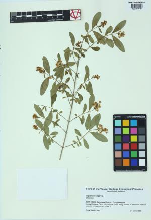 85348-Service File.jpg