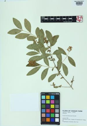 85353-Service File.jpg