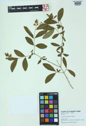 85354-Service File.jpg