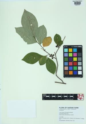 85371-Service File.jpg