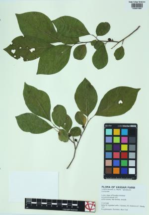 85372-Service File.jpg