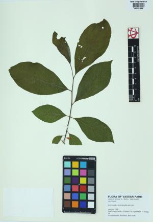 85376-Service File.jpg
