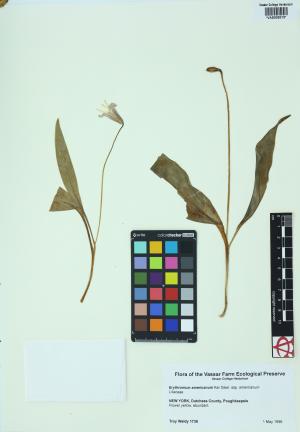 85382-Service File.jpg