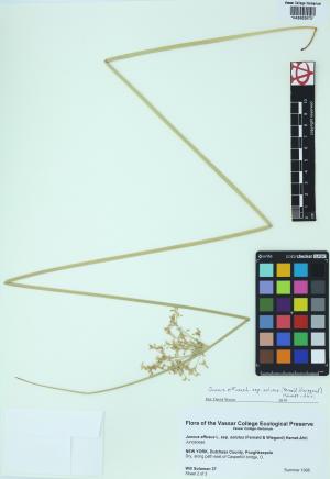 85397-Service File.jpg