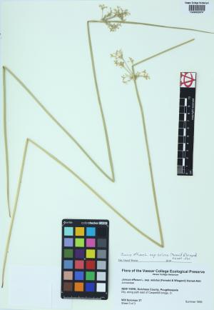 85398-Service File.jpg