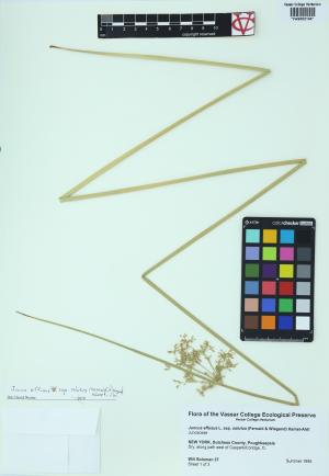 85399-Service File.jpg